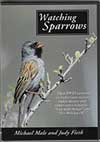 Watching Sparrows